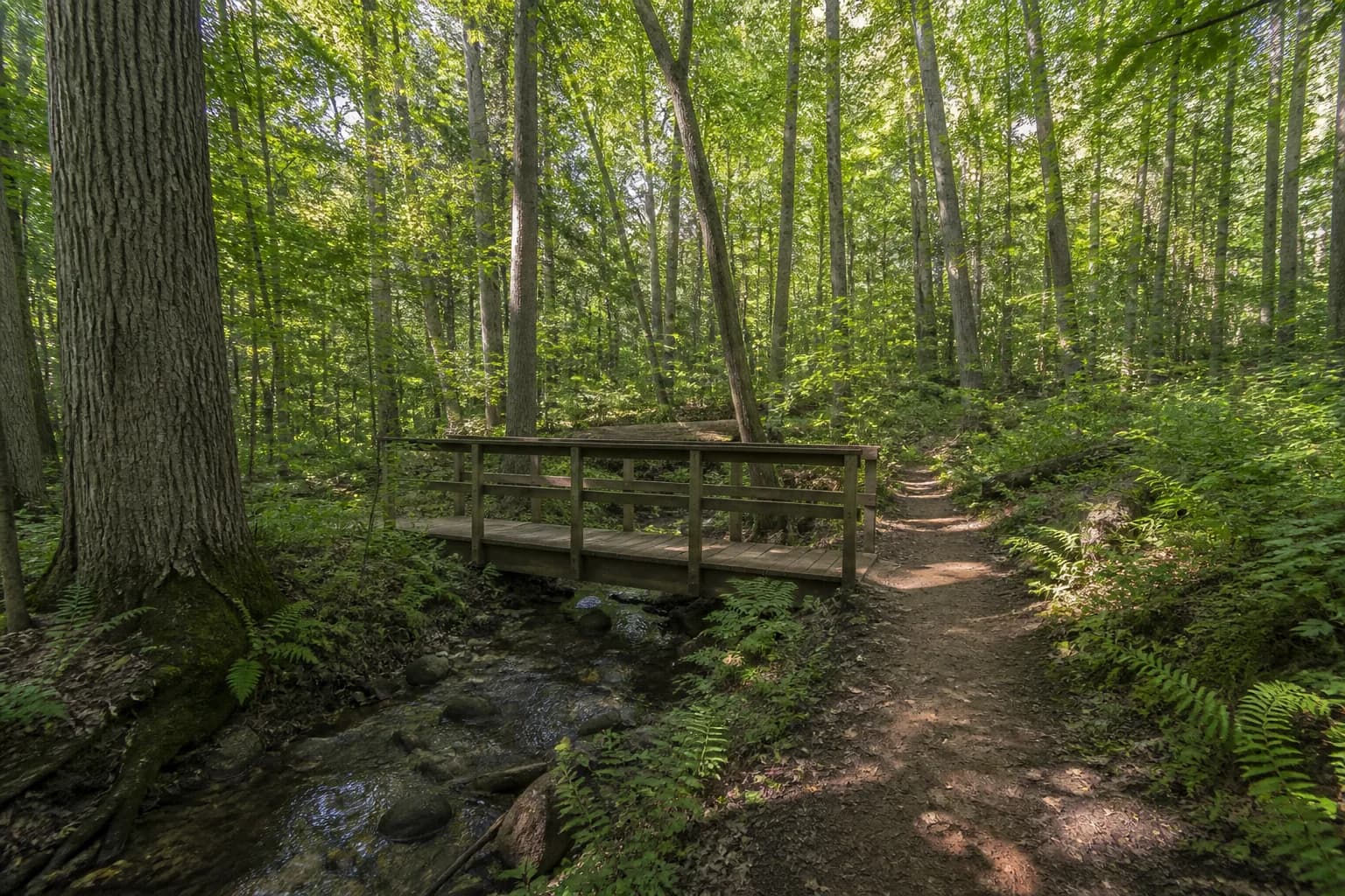 Hungry Hollow trails near Arbourview Georgetown — conservation-area walking paths in Halton Hills